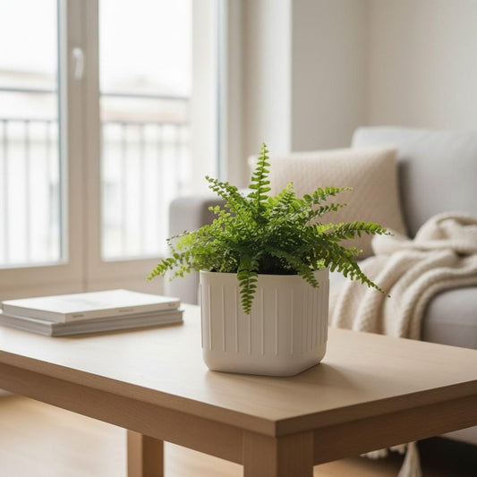 3D Printed Minimalist Square Plant Pot – Indoor Planter UK