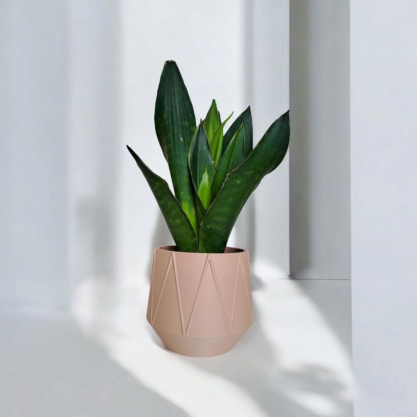 3D Printed GeoBloom Planter – Modern Indoor Plant Pot
