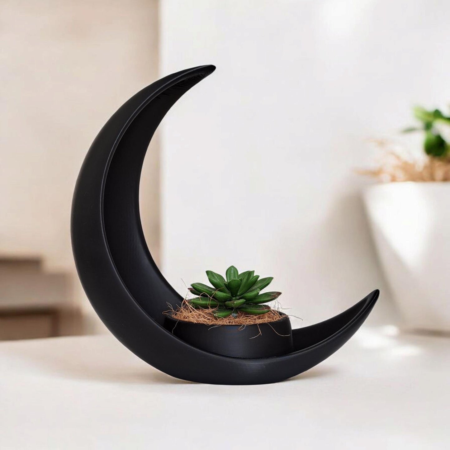 Celestial Crescent Moon Planter