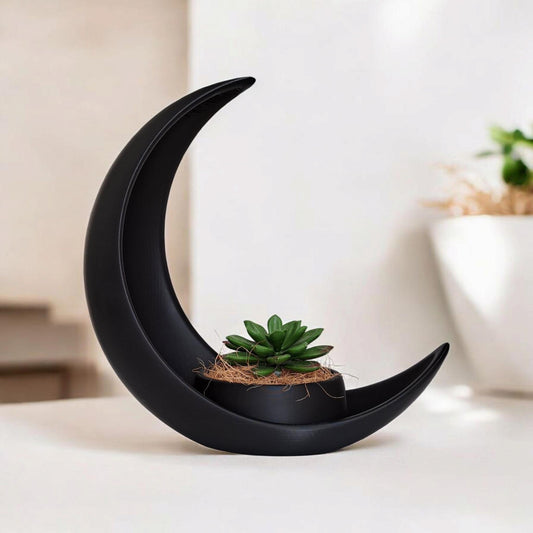 Celestial Crescent Moon Planter