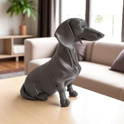 Dapper Dachshund - Sausage dog
