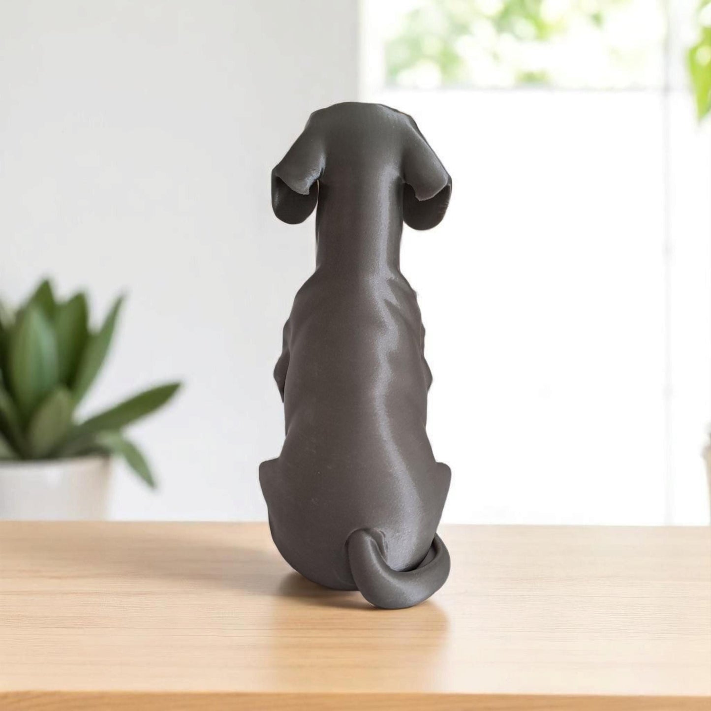 Dapper Dachshund - Sausage dog