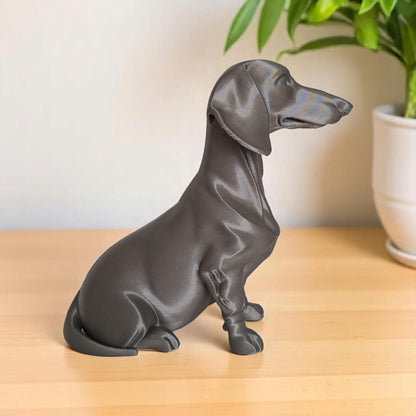 Dapper Dachshund - Sausage dog