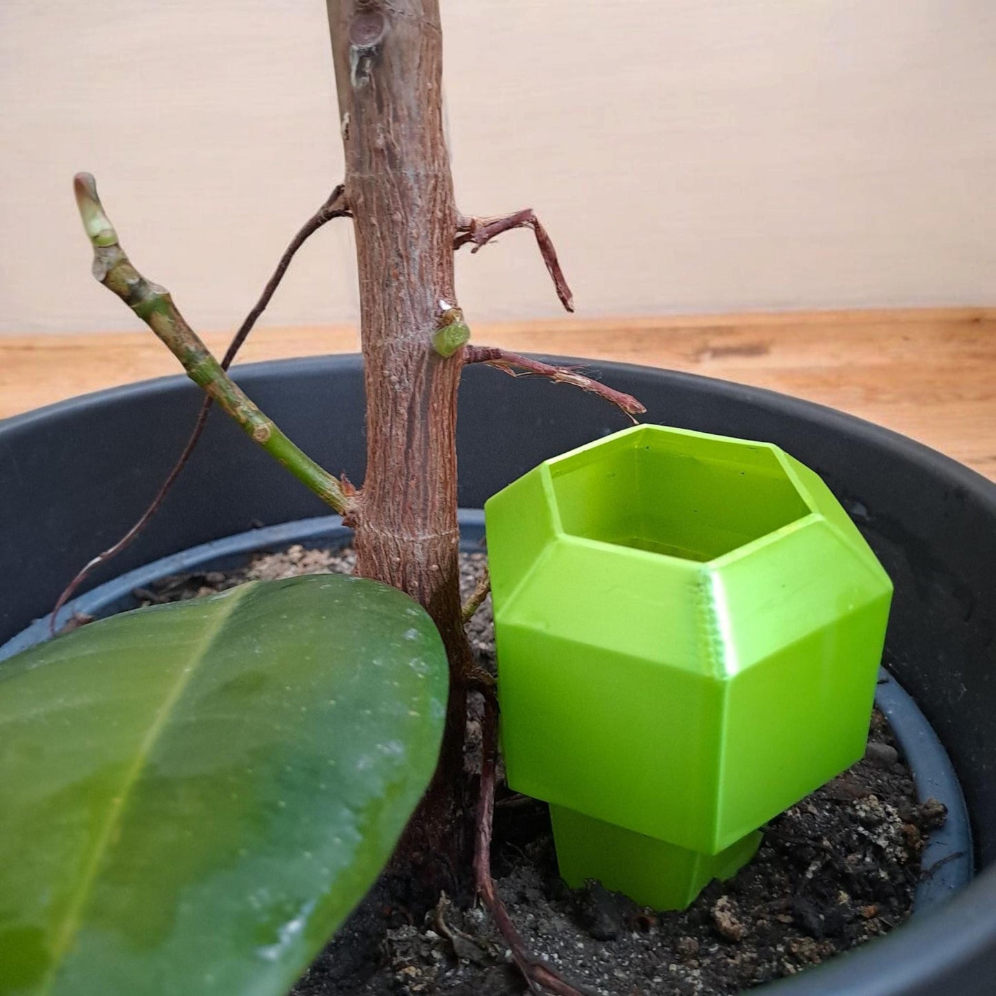 3D Printed Self-Watering Plant Stakes
