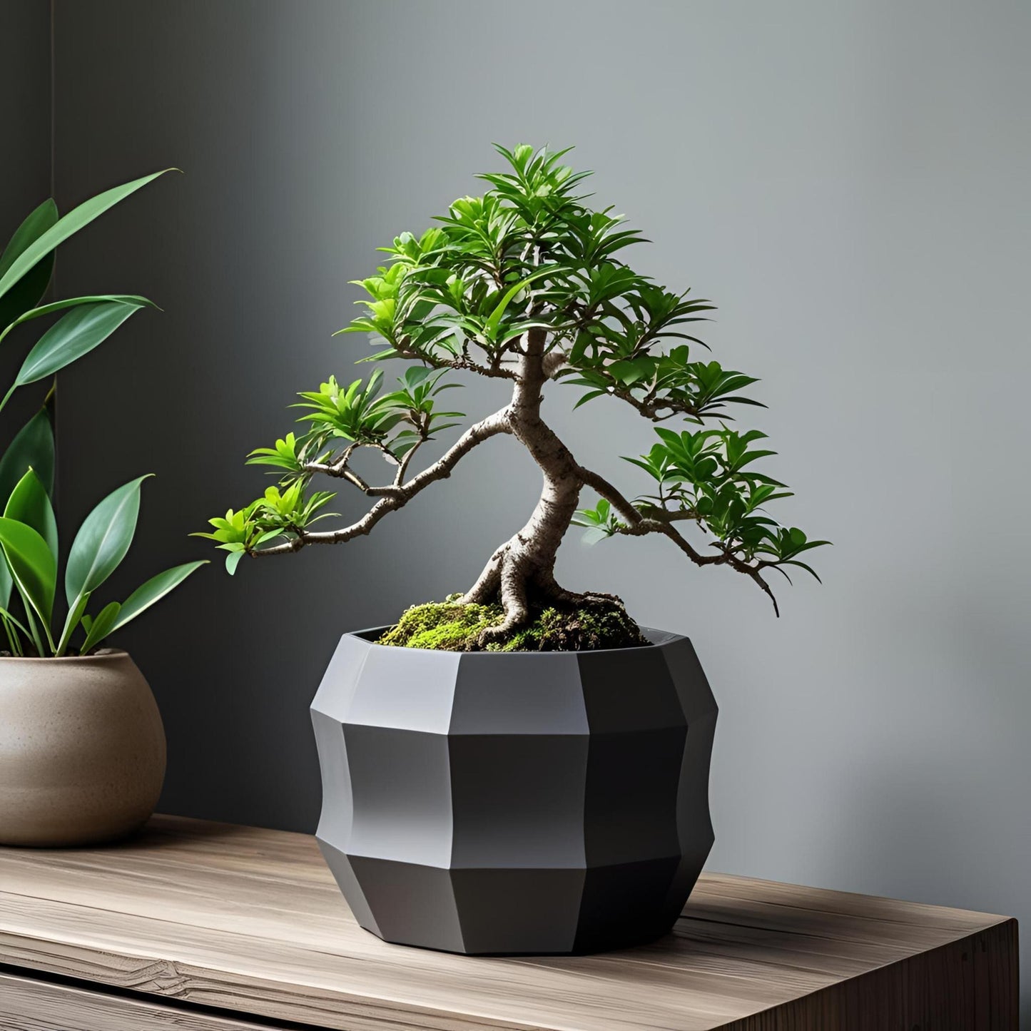 3D Printed Plant Pot – Minimalist Design