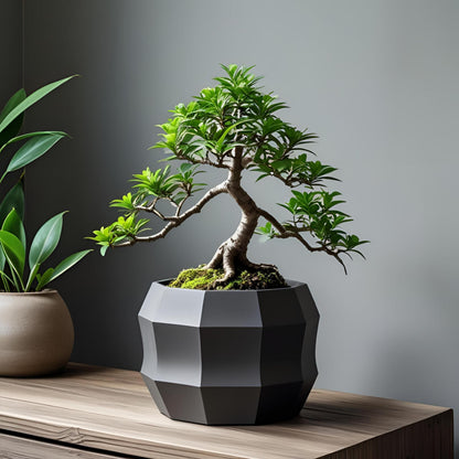 3D Printed Plant Pot – Minimalist Design