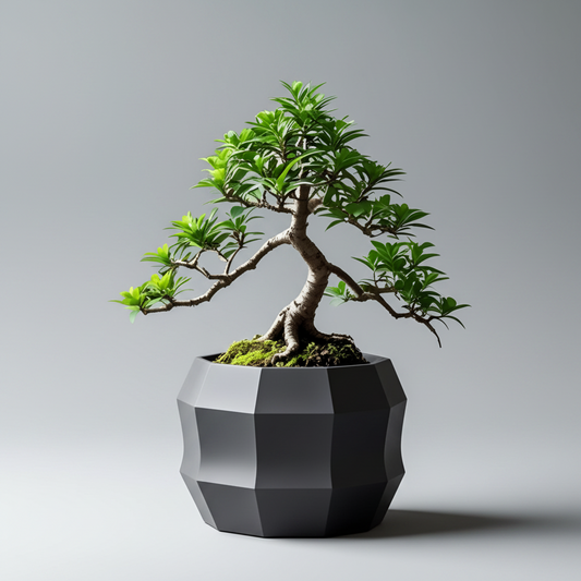 3D Printed Plant Pot – Minimalist Design