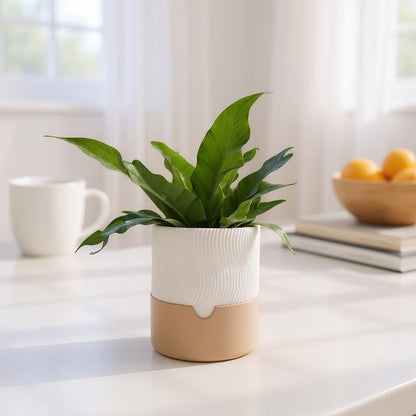 3D Printed Ribbed Planter Set – 2-Piece Self-Watering Plant Pots
