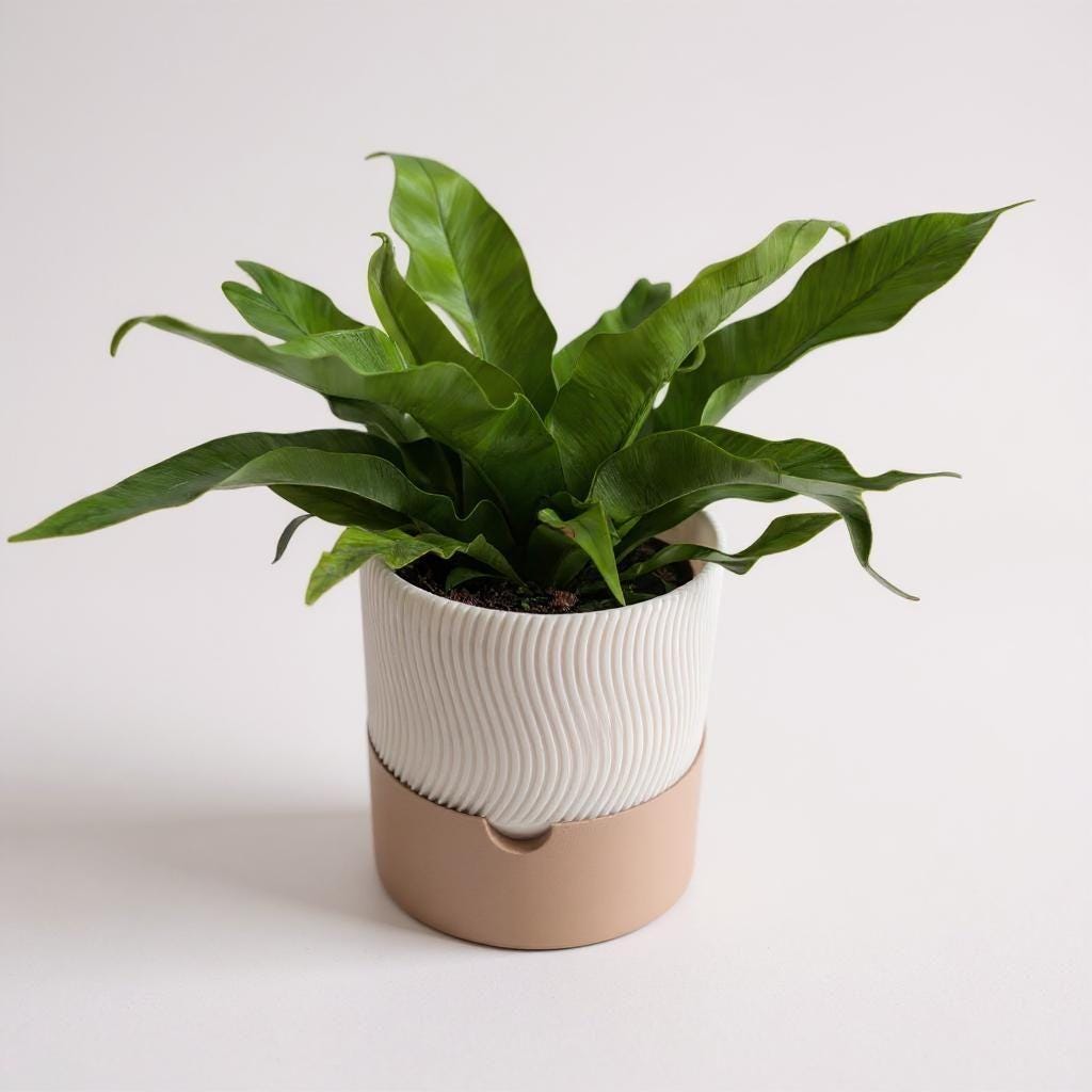 3D Printed Ribbed Planter Set – 2-Piece Self-Watering Plant Pots
