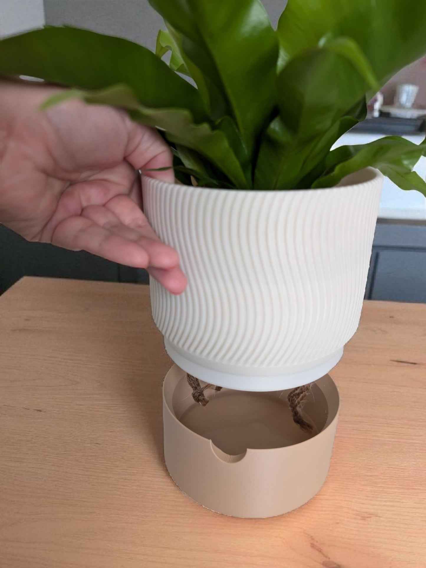 3D Printed Ribbed Planter Set – 2-Piece Self-Watering Plant Pots