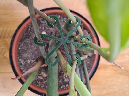 3D Printed Plant Support Hooks 5 Pack