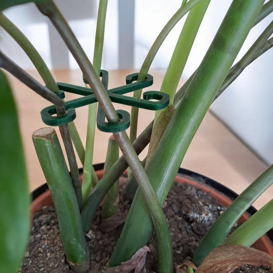 3D Printed Plant Support Hooks 5 Pack