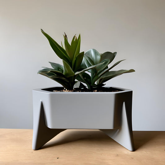 3D Printed Mid-Century Hexagonal Planter – Modern Indoor Planter