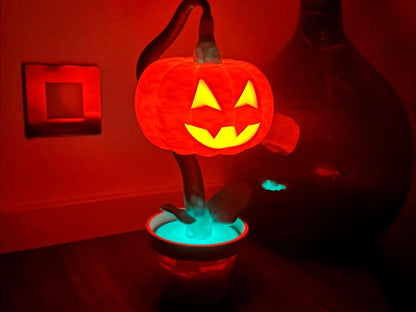 Halloween Pumpkin in a Pot