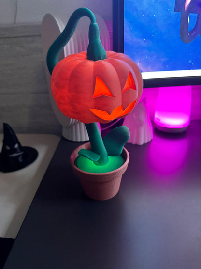 Halloween Pumpkin in a Pot