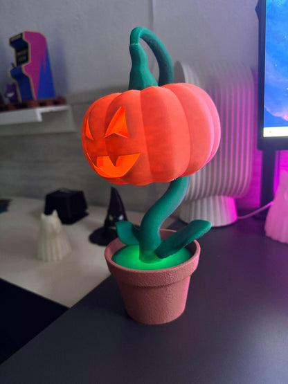Halloween Pumpkin in a Pot