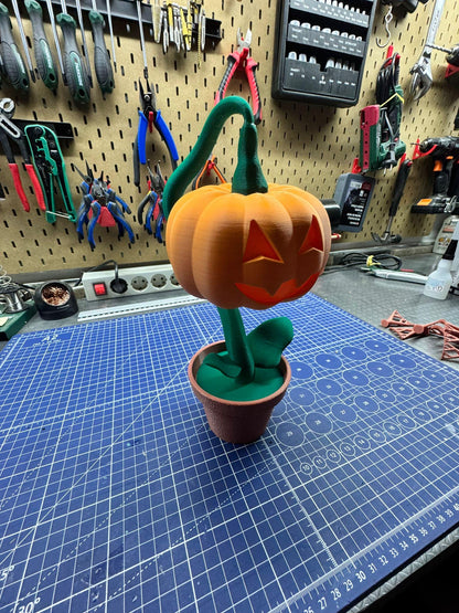 Halloween Pumpkin in a Pot