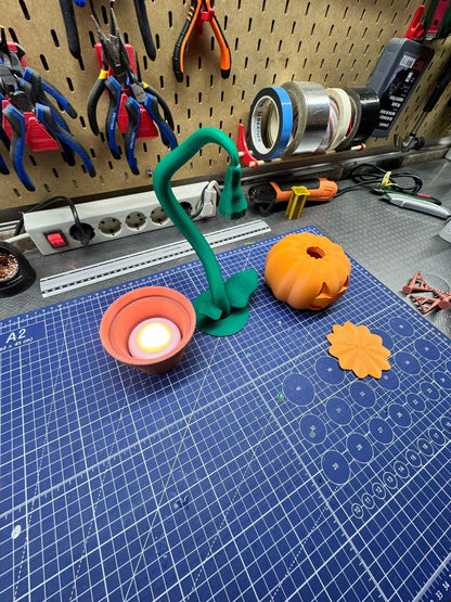 Halloween Pumpkin in a Pot