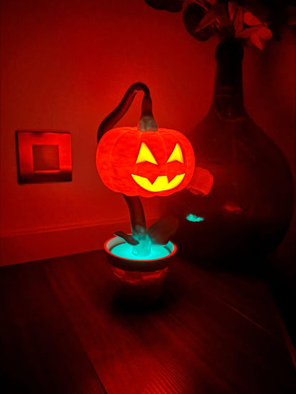 Halloween Pumpkin in a Pot