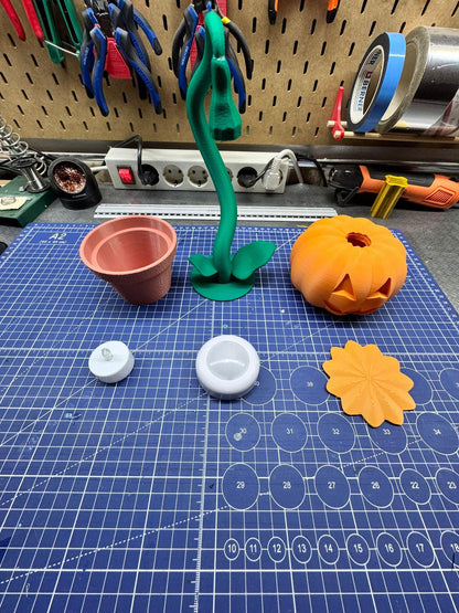 Halloween Pumpkin in a Pot