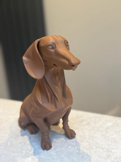 Dapper Dachshund - Sausage dog