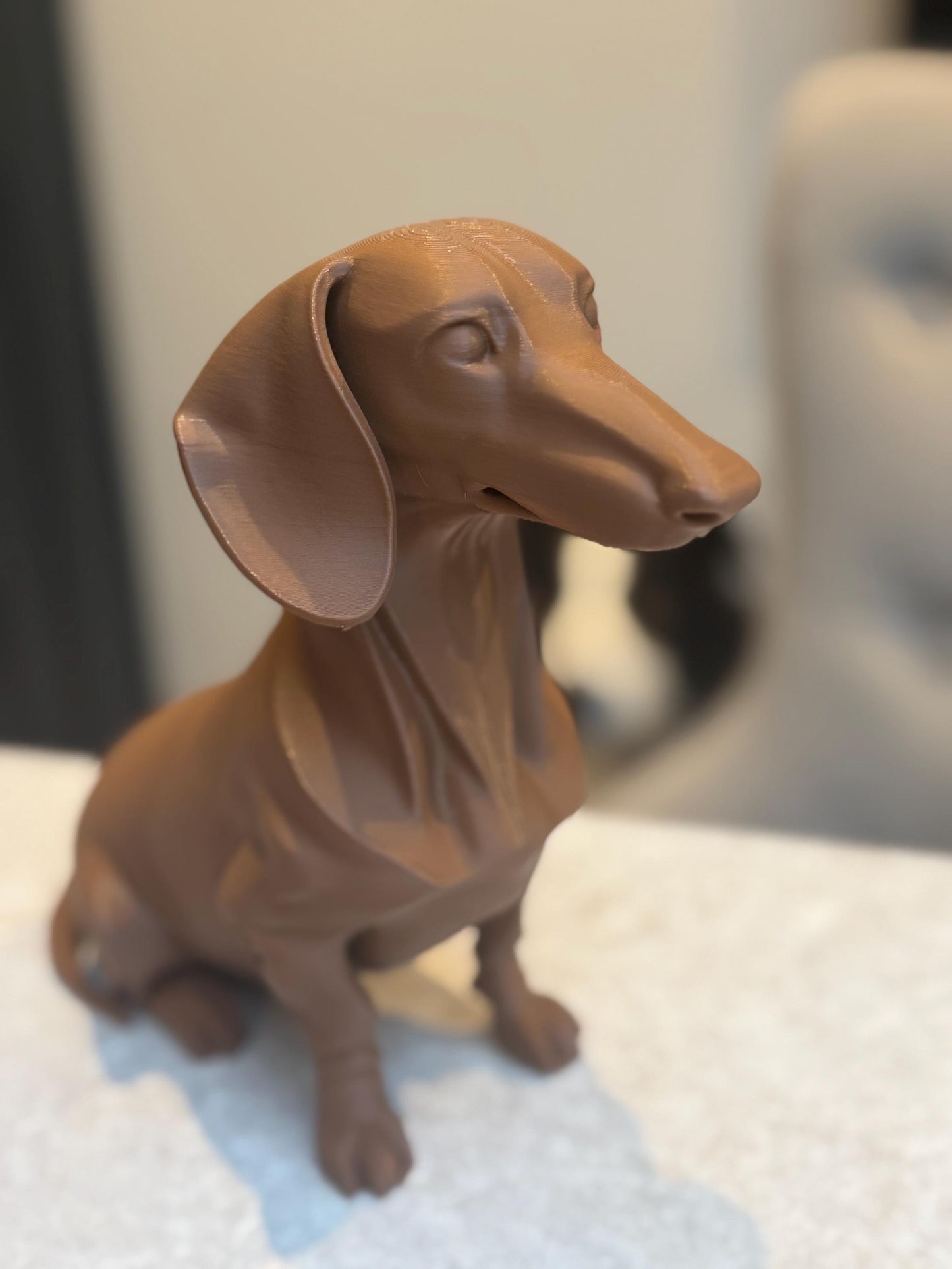 Dapper Dachshund - Sausage dog