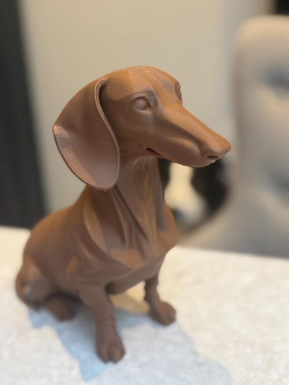 Dapper Dachshund - Sausage dog