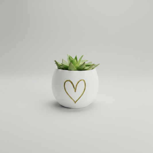 3D Printed Minimalist Heart Plant Pot