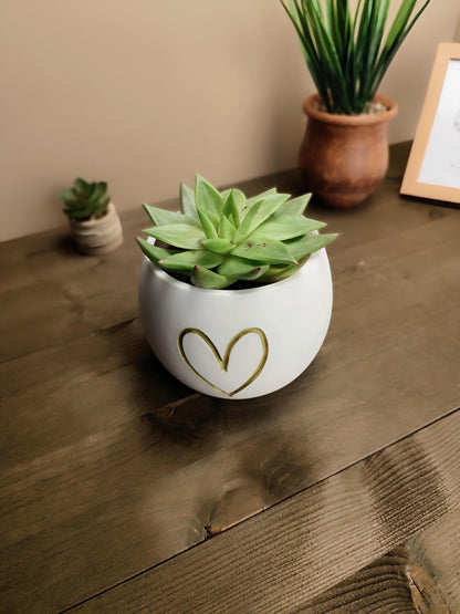 3D Printed Minimalist Heart Plant Pot