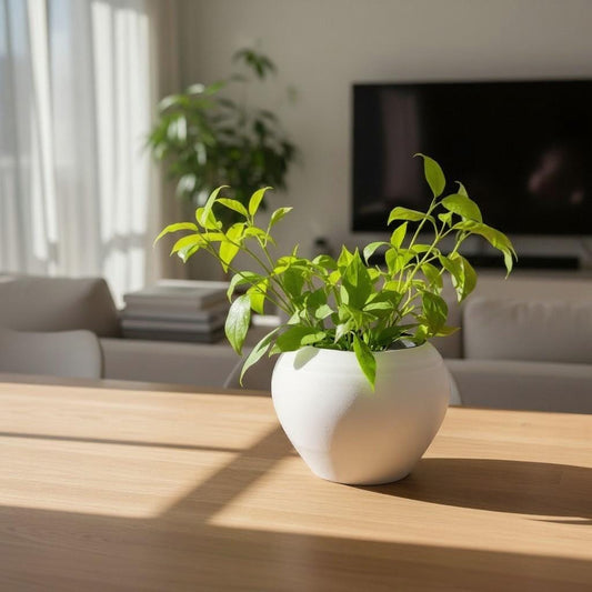 3D Printed Self Watering Plant Pot – 2 Pieces