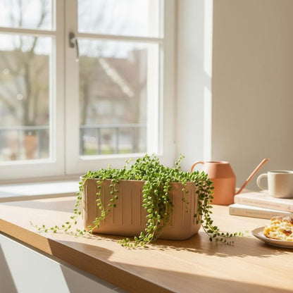 3D Printed Minimalist Long Plant Pot – Indoor Planter UK