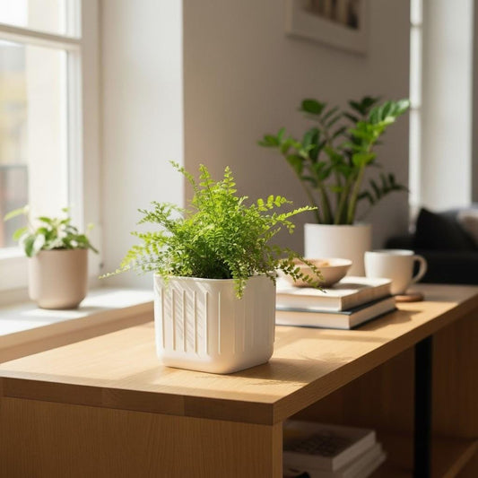 3D Printed Minimalist Square Plant Pot – Indoor Planter UK